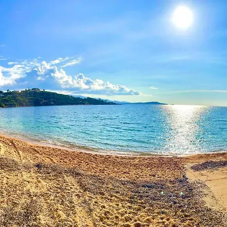 Jeannette Grosseto-Prugna