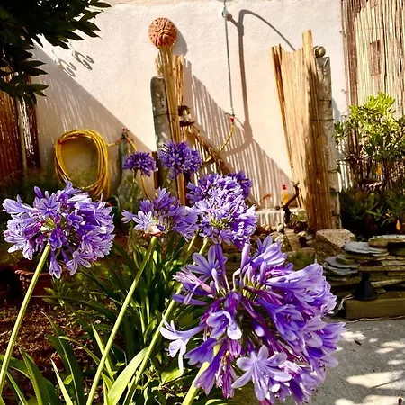 Jeannette Grosseto-Prugna