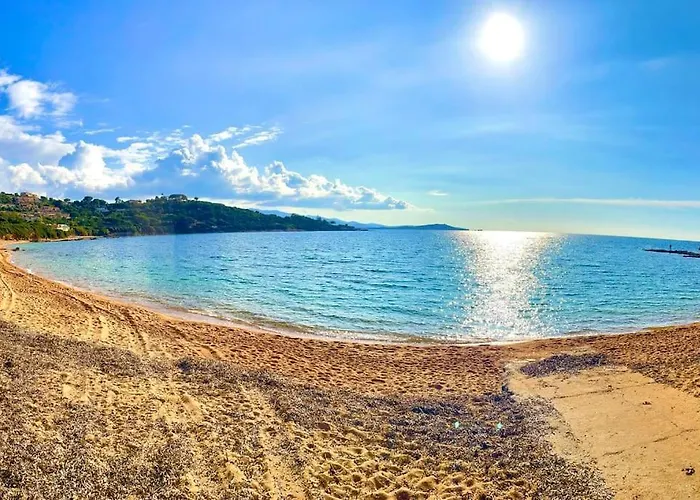 Jeannette Grosseto-Prugna