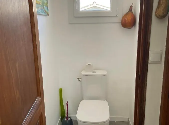 Jeannette * Grosseto-Prugna