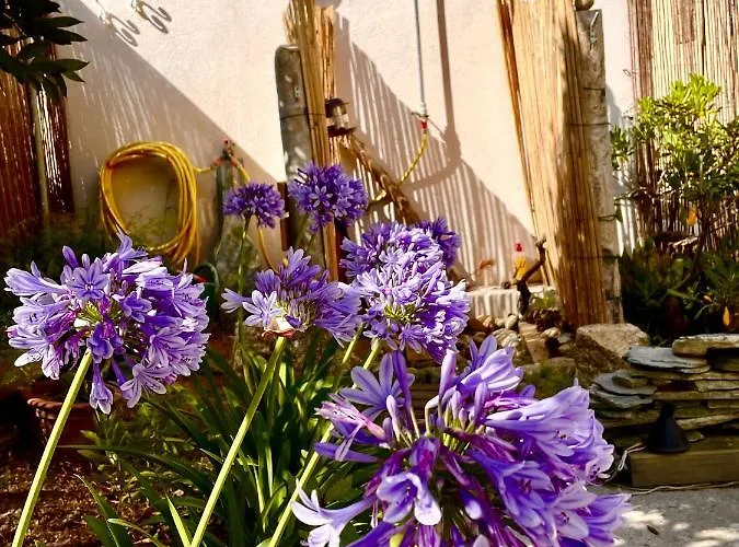 Jeannette Grosseto-Prugna