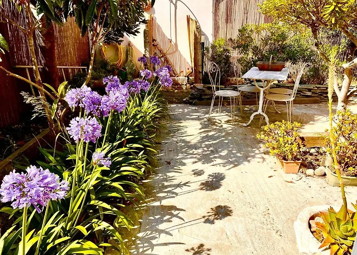 Jeannette Grosseto-Prugna