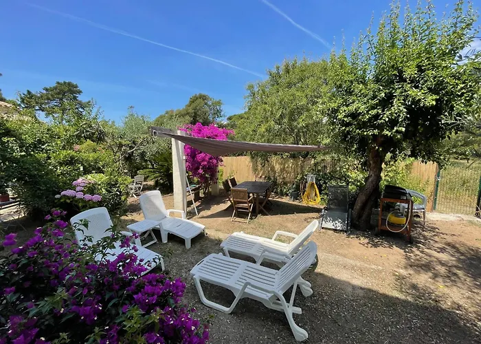 Jeannette * Grosseto-Prugna